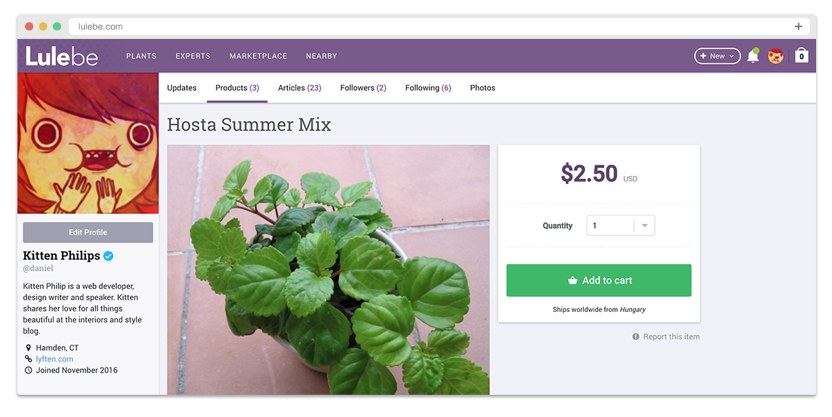 Marketplace product view